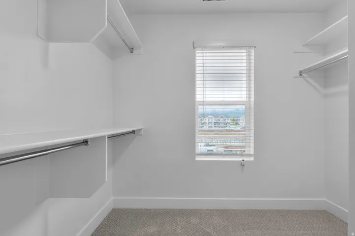 Walk in closet with light carpet