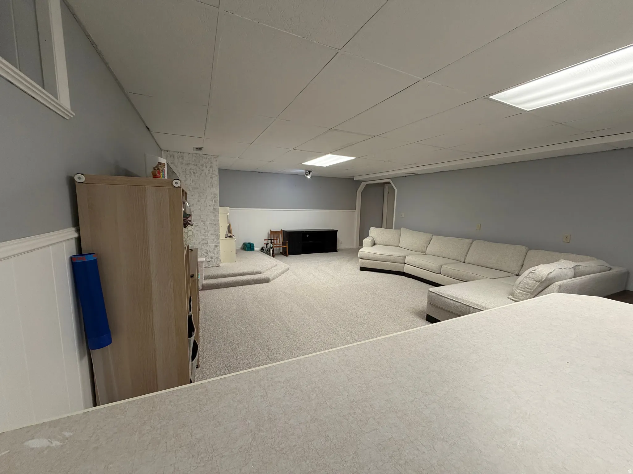 Carpeted living area with wainscoting and a drop ceiling