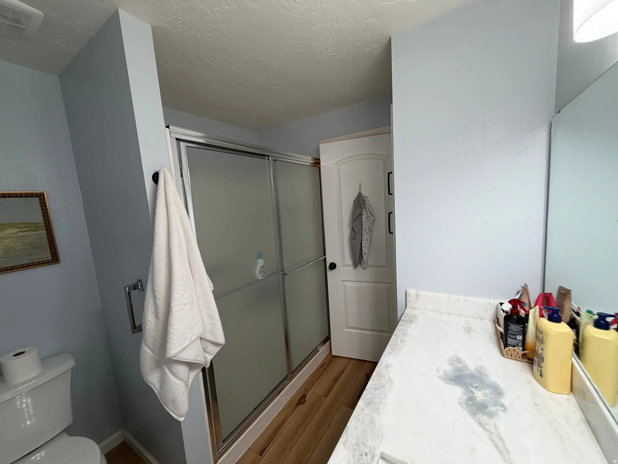 Primary Full bath with a stall shower, light wood-type flooring, vanity, and a textured ceiling