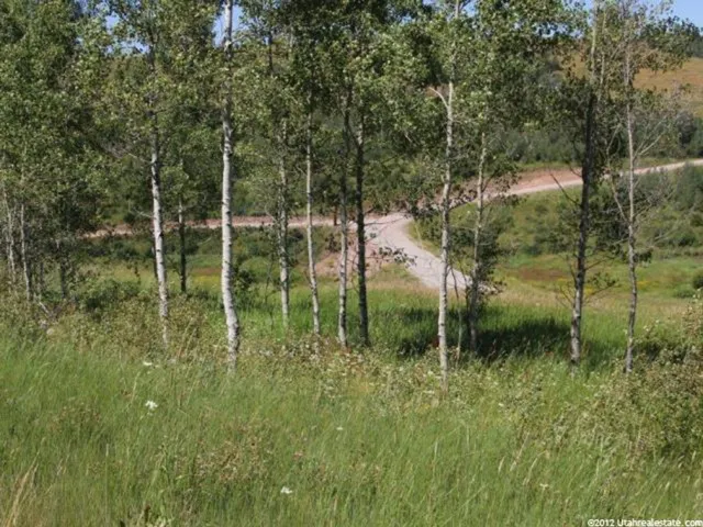 View of undeveloped land