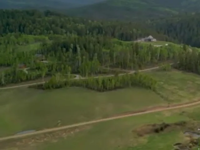 Aerial view of property's location with a heavily wooded area