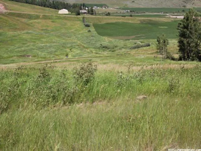 View of undeveloped land featuring rural landscape