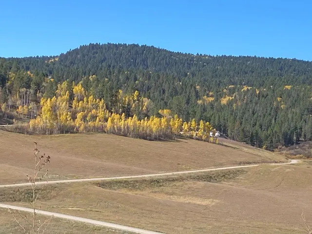 View of mountain backdrop featuring a forest