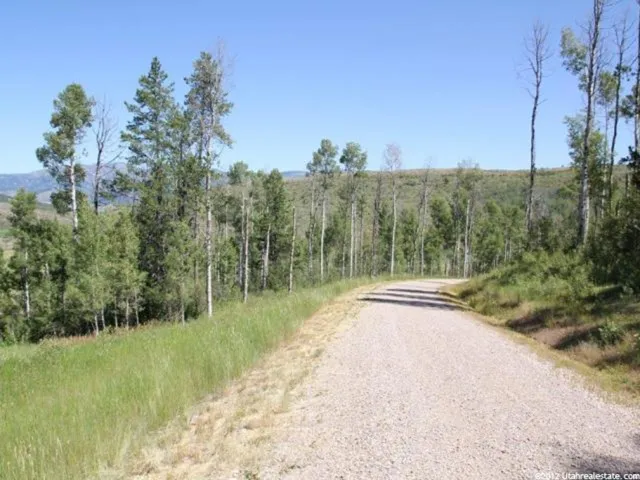 View of dirt / gravel road with a view of trees