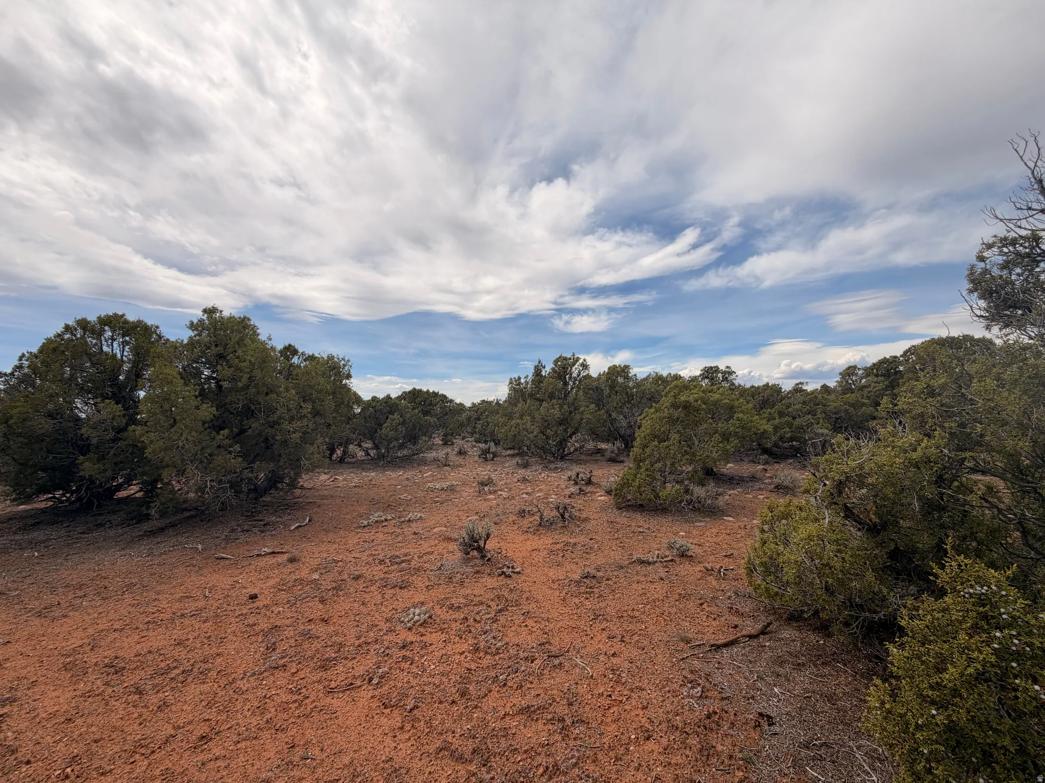 View of local wilderness