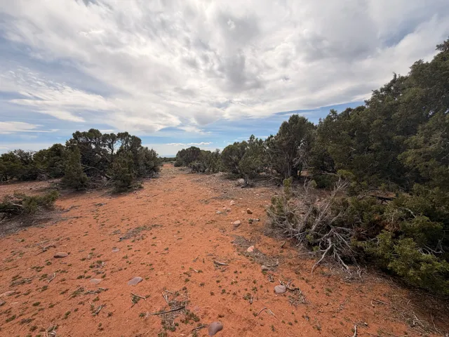 View of undeveloped land with rural landscape