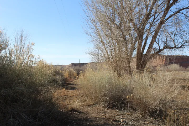 700 E 725 N, Hanksville, Utah 84734