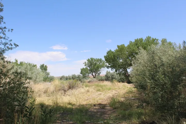 700 E 725 N, Hanksville, Utah 84734