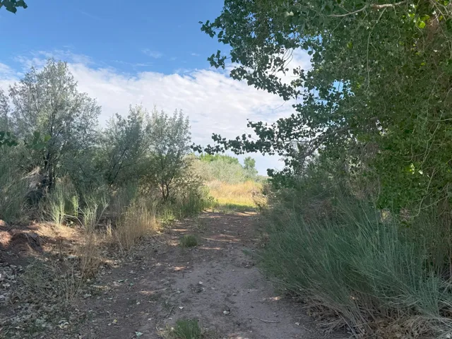 700 E 725 N, Hanksville, Utah 84734