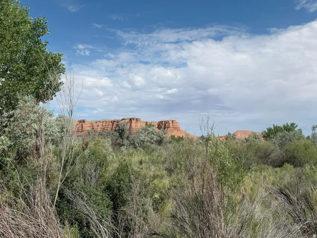 700 E 725 N, Hanksville, Utah 84734
