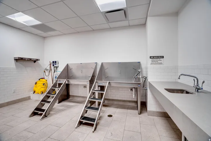 Misc room with a drop ceiling, a wainscoted wall, pet washing station, and tile walls