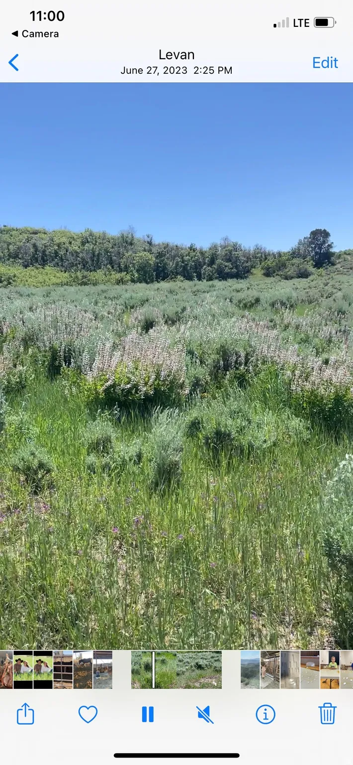 View of miscellaneous property collateral