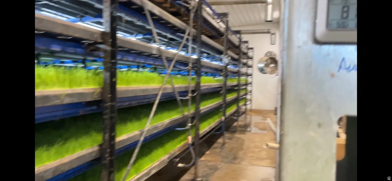 View of storage room