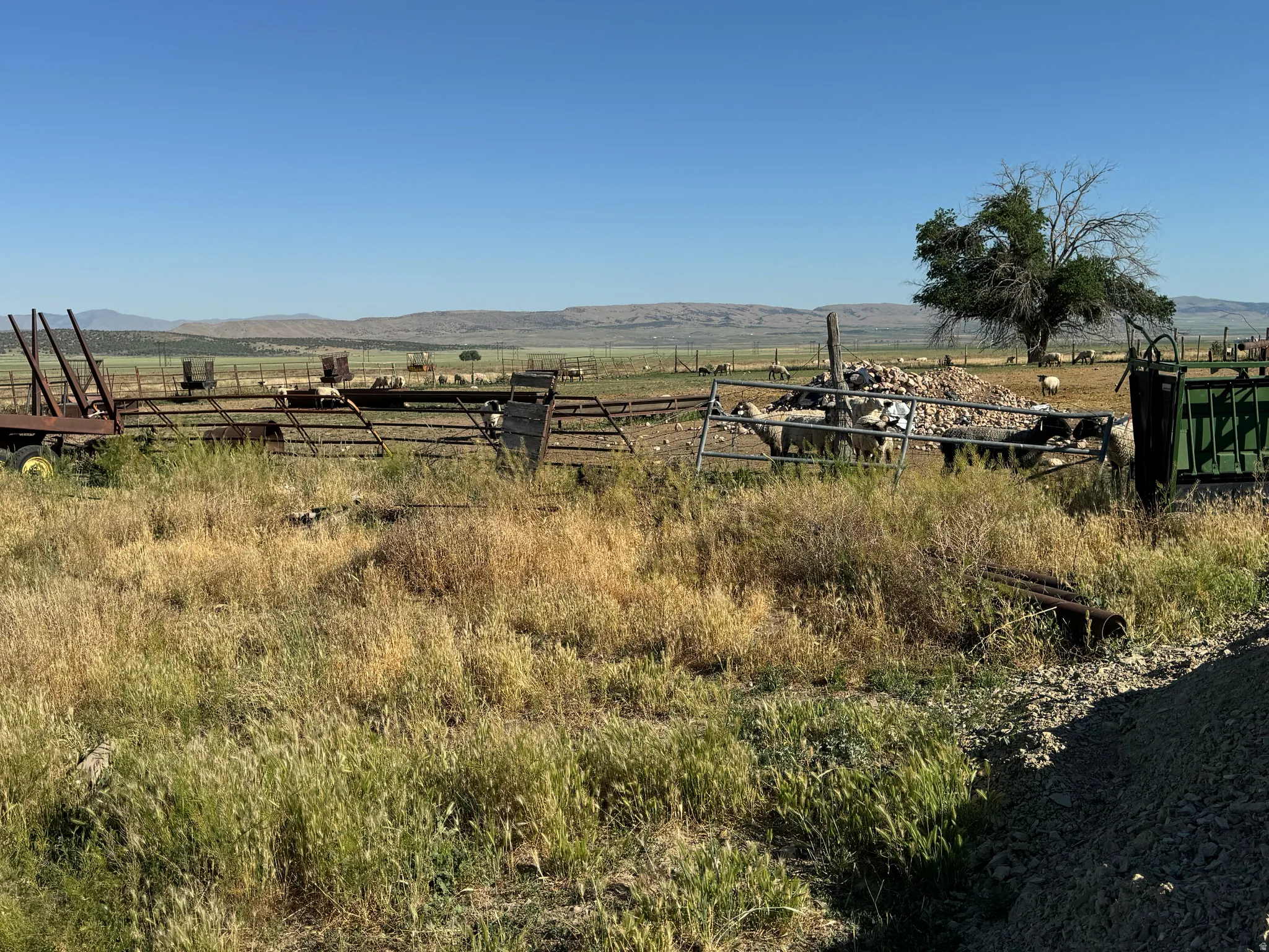 View of yard with a mountain view and a view of rural / pastoral area