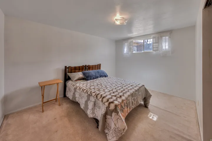 Bedroom with light carpet
