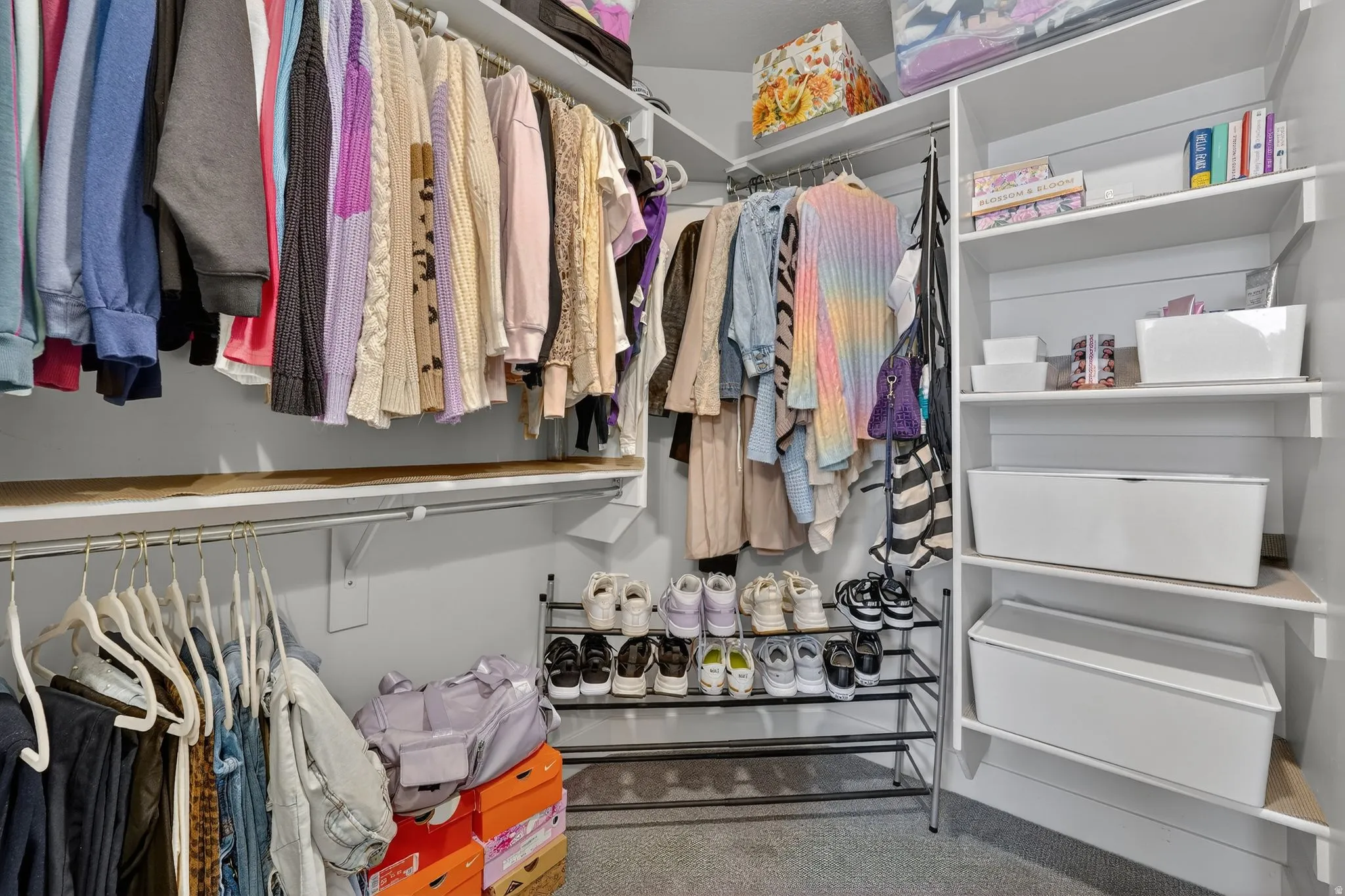 Walk in closet featuring carpet floors