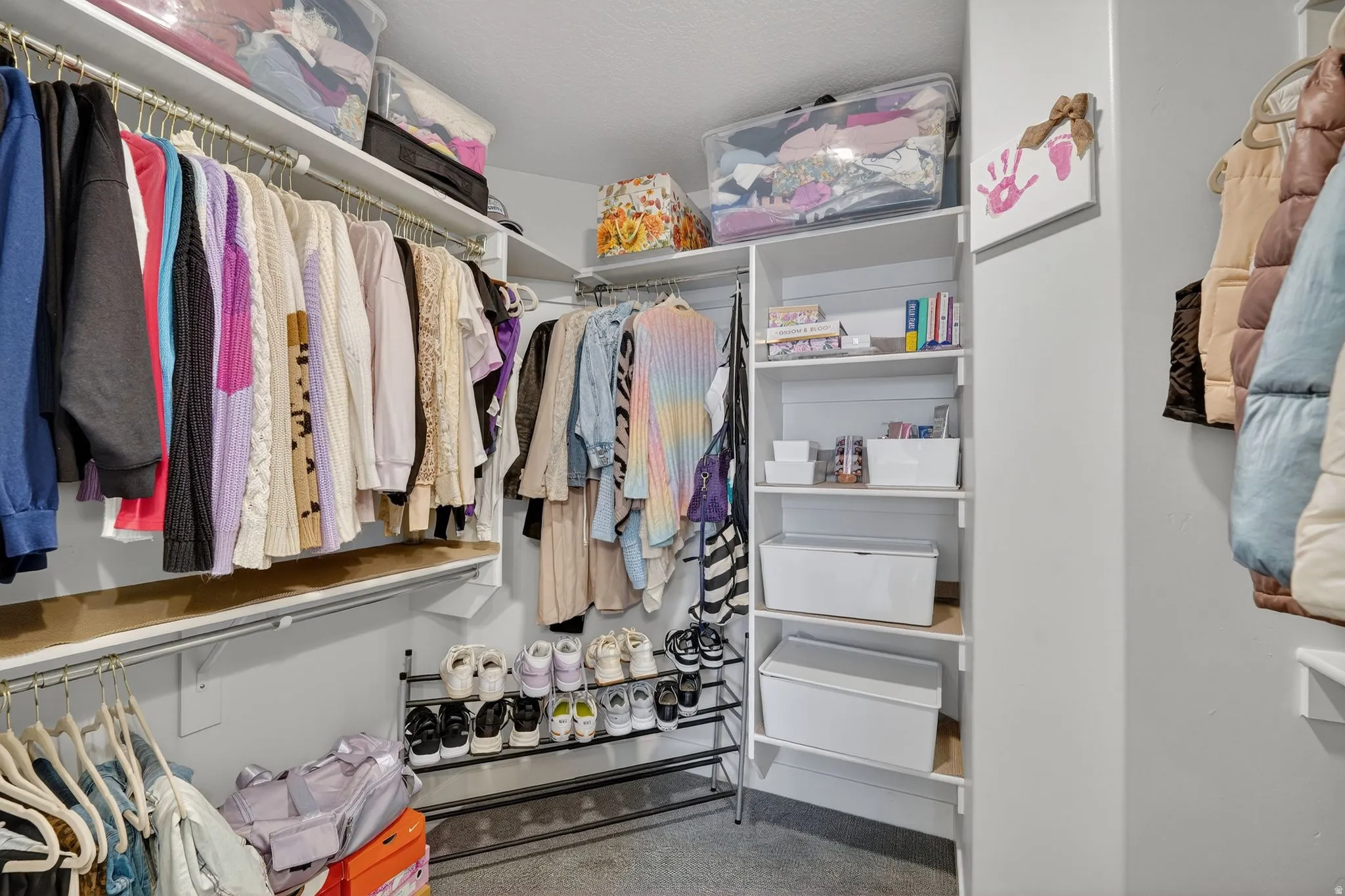 Walk in closet featuring carpet floors