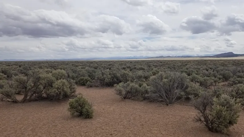 View of undeveloped land