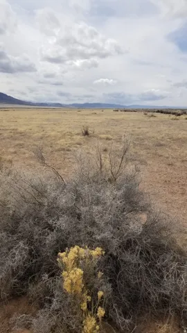 View of undeveloped land featuring rural landscape