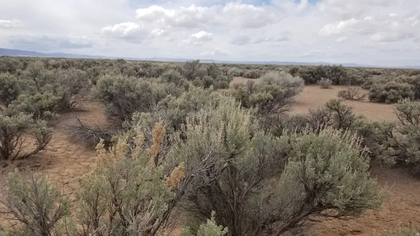 View of undeveloped land