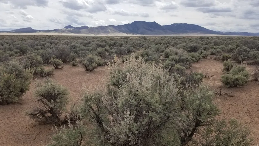 View of mountain background