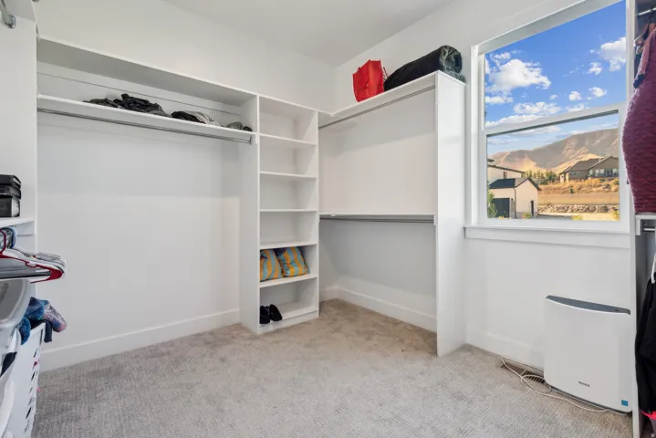 Walk in closet with light carpet
