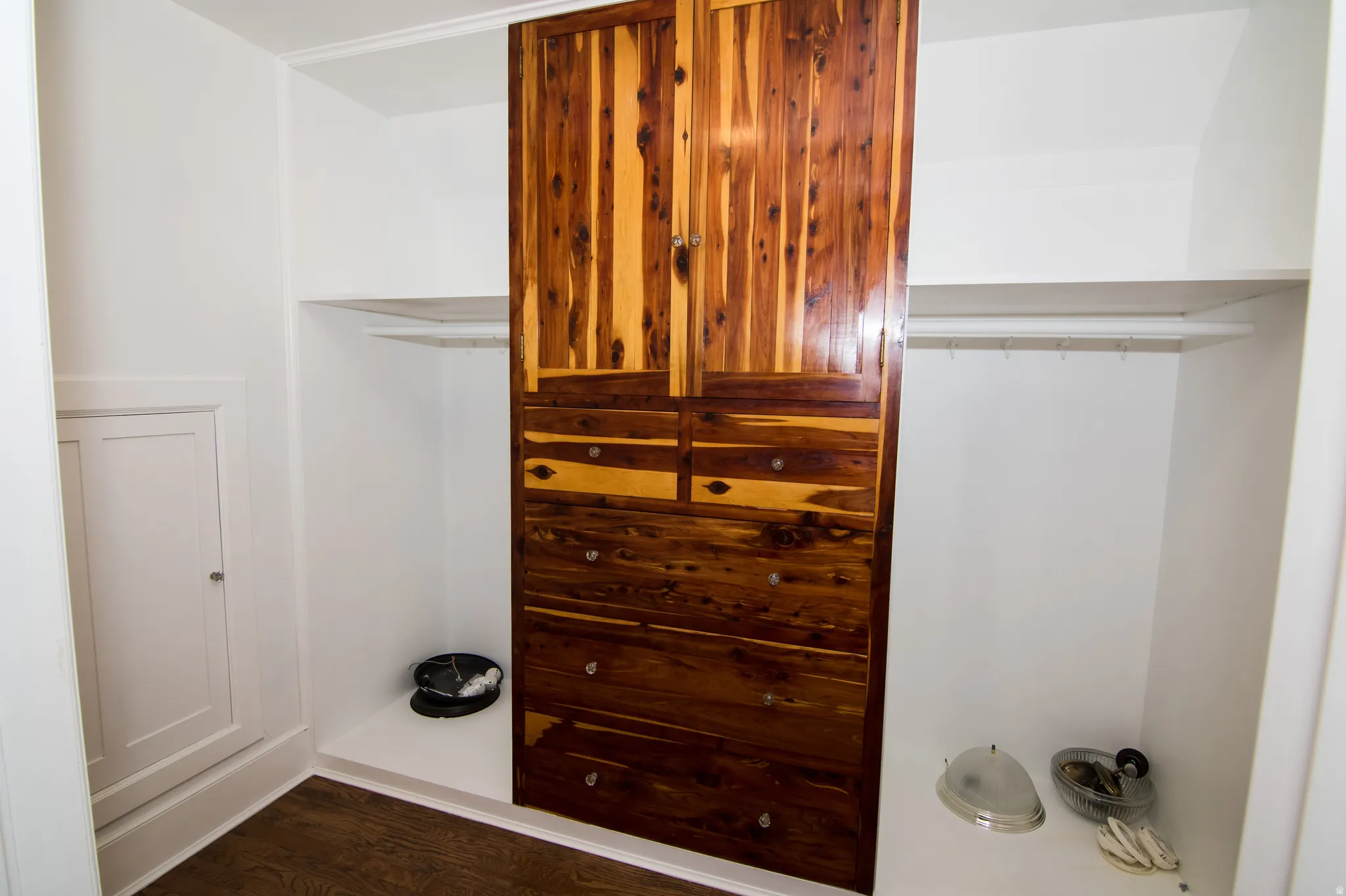 Walk in closet with dark wood finished floors