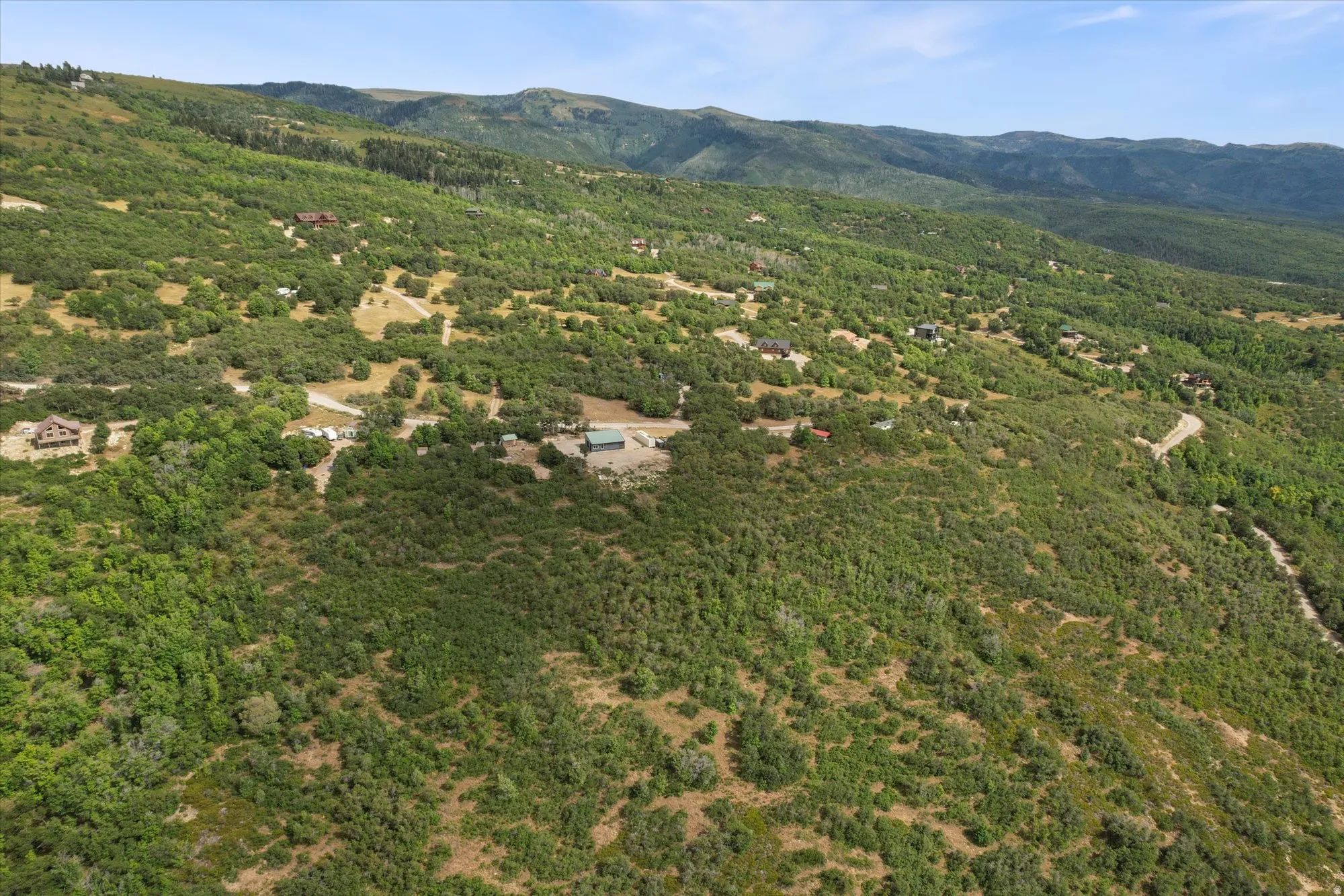 Aerial view of a mountainous background and a forest