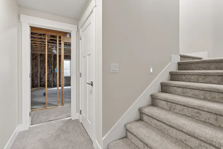 Staircase with carpet