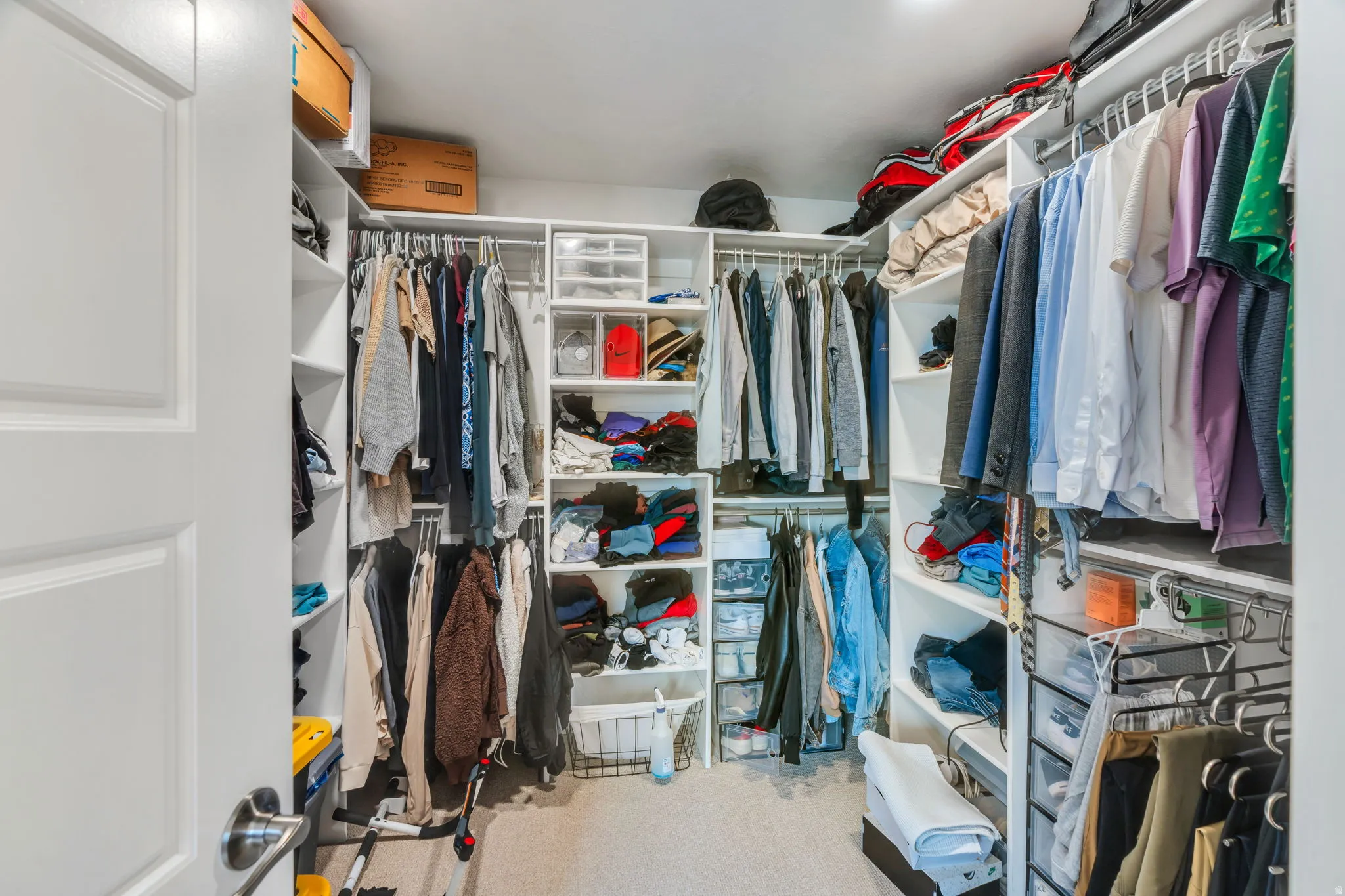 Walk in closet featuring light colored carpet