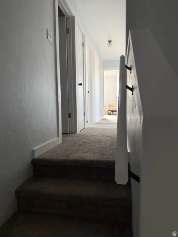 Staircase with a textured wall and carpet