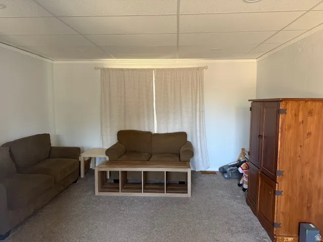 Carpeted living area featuring a paneled ceiling