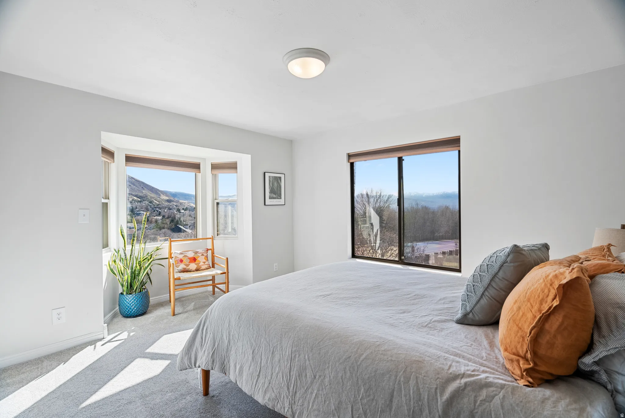 Primary bedroom with carpet flooring and a mountain view