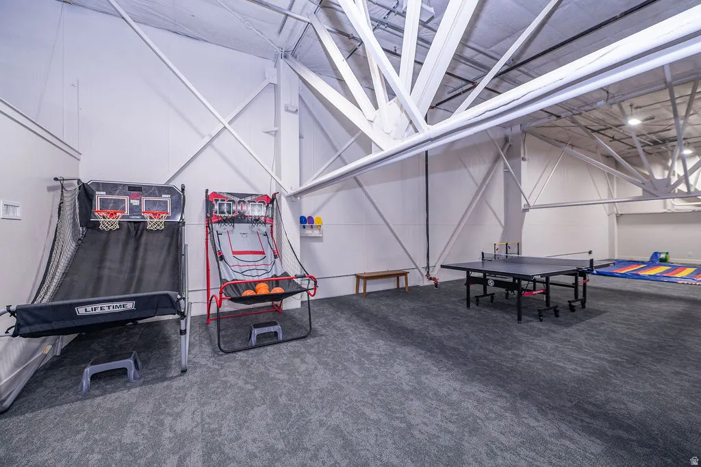 Rec room featuring carpet floors