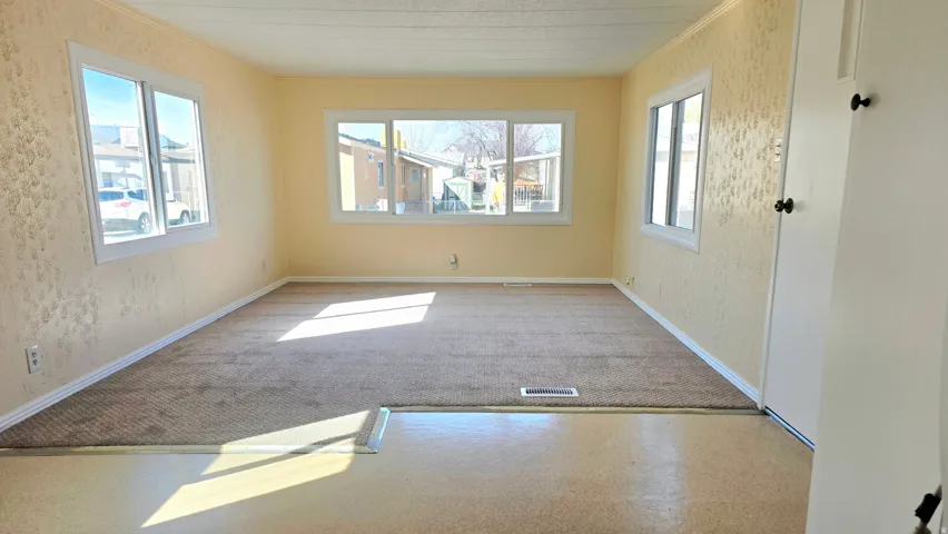 Unfurnished room featuring carpet floors and a textured wall