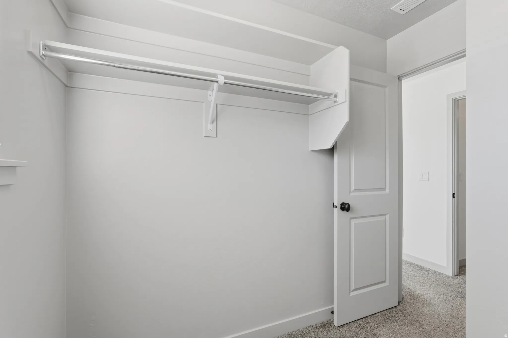 Walk in closet with light colored carpet