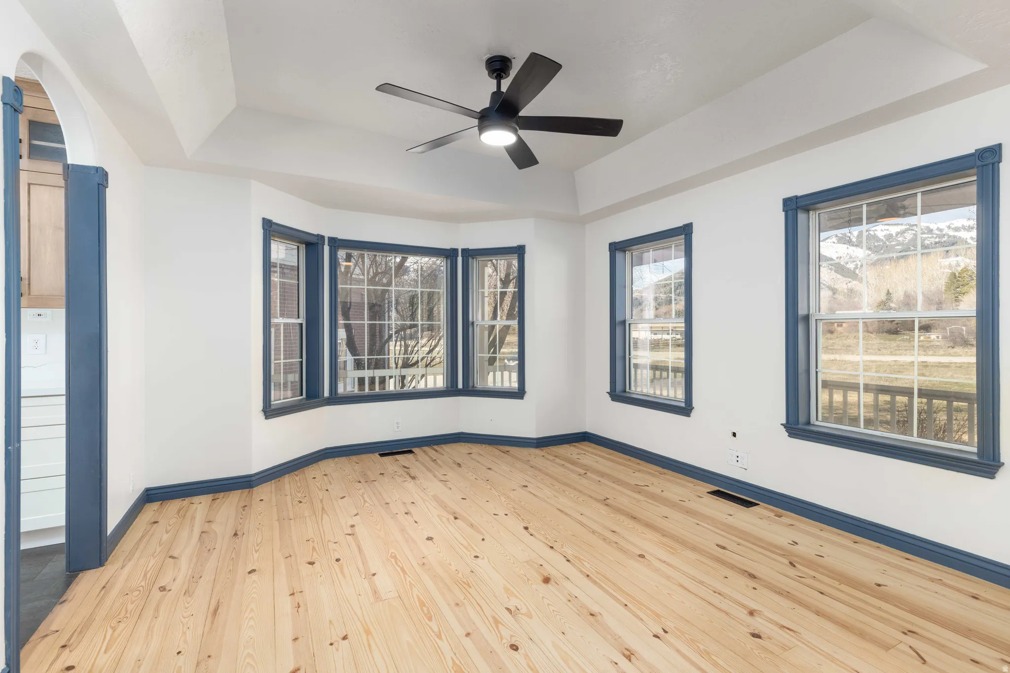 Unfurnished room with a raised ceiling, light wood-style flooring, and a ceiling fan