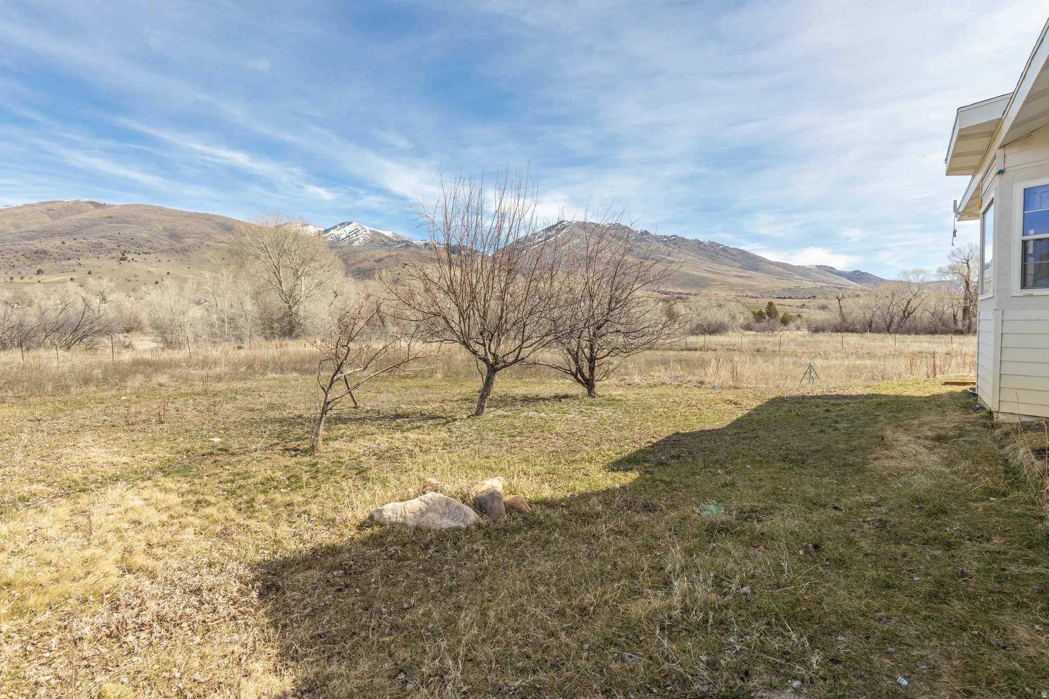 Fruit Trees