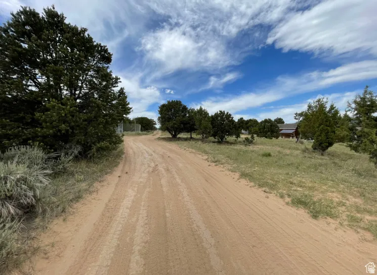 View of dirt / gravel road with a rural view