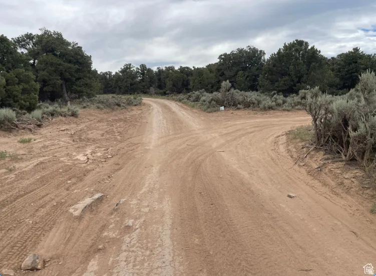 View of dirt / gravel road with a forest view