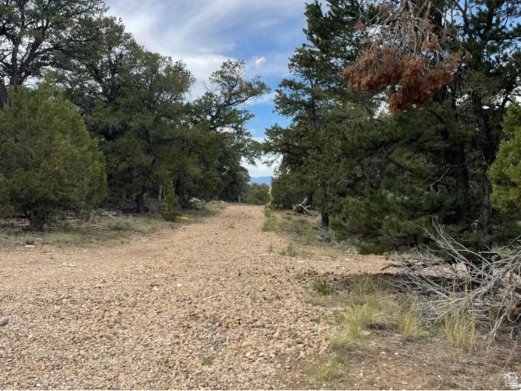 View of undeveloped land