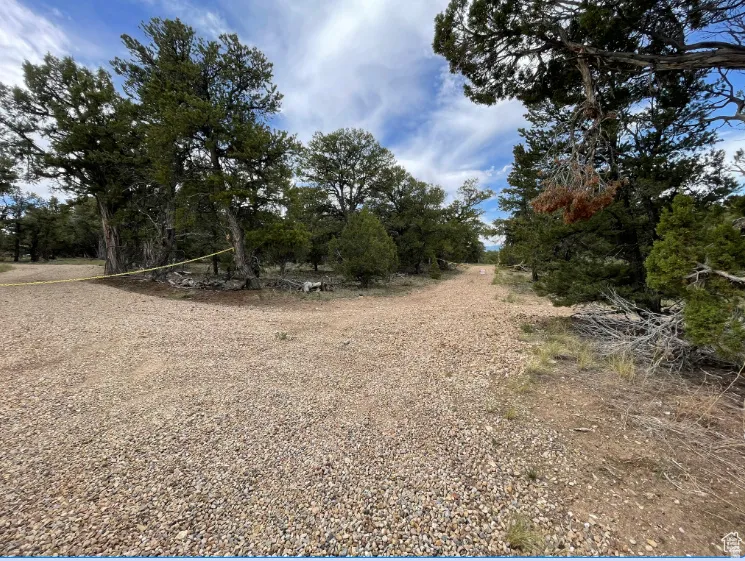 View of undeveloped land