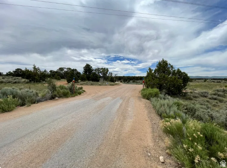 View of dirt / gravel road with a view of rural / pastoral area