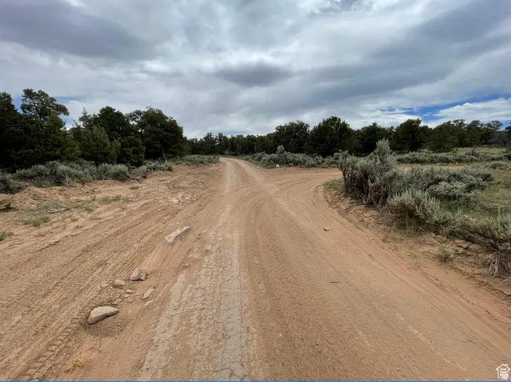 View of dirt / gravel road