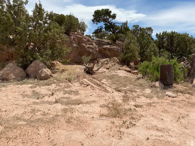 View of nature