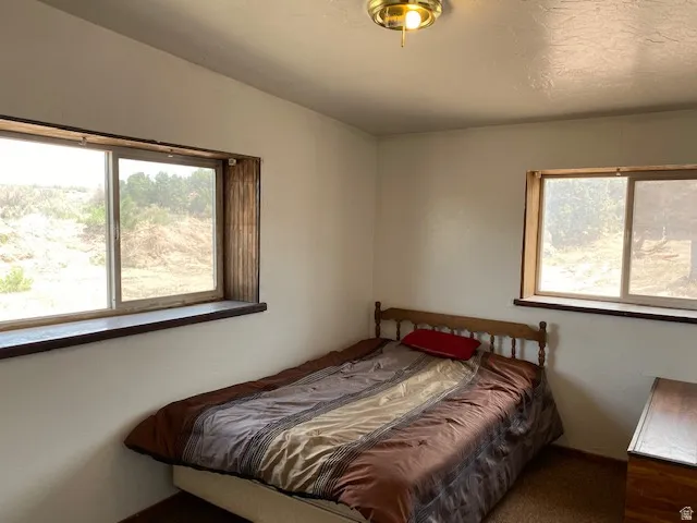 Bedroom with carpet and baseboards