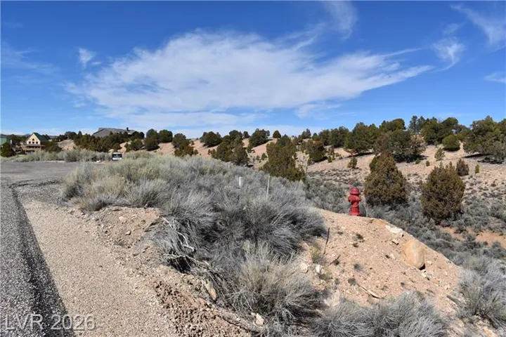 View of local wilderness