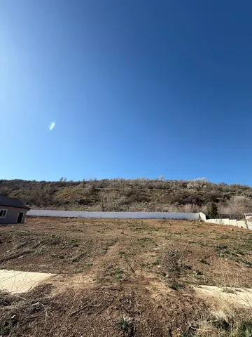 View of yard with a view of rural / pastoral area
