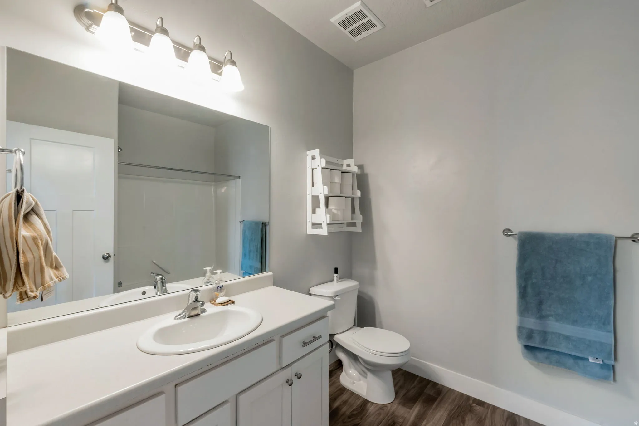 Full bathroom with vanity, dark wood-type flooring, and a shower