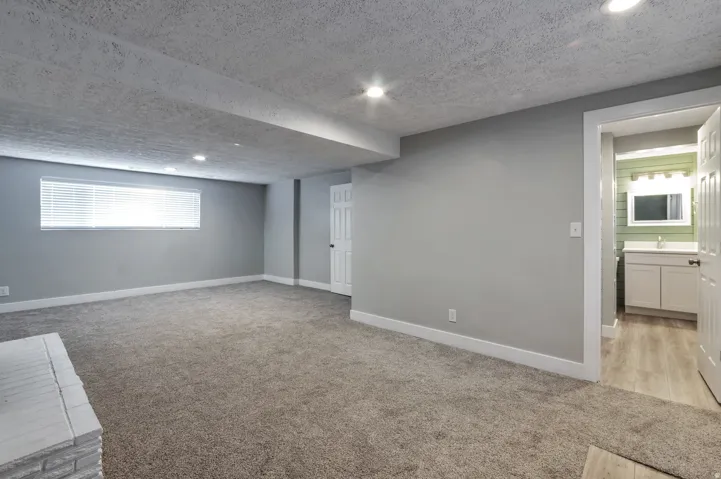 main unit basement living